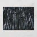 Buscar bosque oscuro postales General y unisex