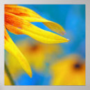 Buscar grosero fotografía Naturaleza