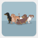 Buscar dachshunds pegatinas Dachshund lover