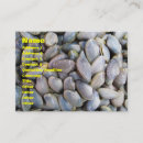 Buscar moluscos tarjetas de visita Playa