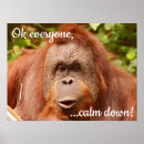 Buscar orangután posters Zoológico