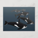 Buscar orca postales Canadá