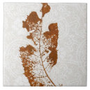 Buscar gusano azulejos Naturaleza
