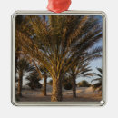 Buscar duna adornos Fotografía