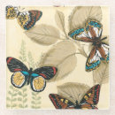 Buscar hojas posavasos Naturaleza