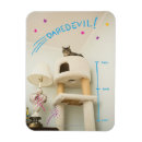 Buscar gato gruñón imanes Lindo