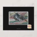 Buscar peso postales Puedo tener cheezburger