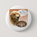 Buscar golden retriever chapas Dorado