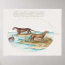Buscar nutria posters Vintage