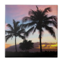 Buscar sunset azulejos Tropical