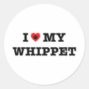 Buscar whippet pegatinas Perro