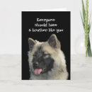 Buscar perro animal tarjetas Para él