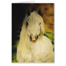 Buscar potro de shetland Equino