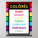 Buscar otros idiomas posters Latino