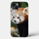 Buscar oso panda iphone fundas 6 º pesadilla