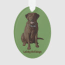Buscar labrador retriever adornos Perros