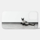 Buscar siamés iphone fundas Gatito