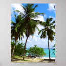 Buscar palmtree Océano