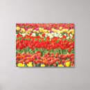 Buscar tulips arte Tulipán