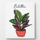 Buscar planta placas fotograbadas Verde