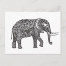 Buscar fantasy postales Elefante
