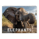 Buscar animales de la selva calendarios Vida silvestre