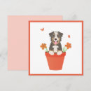 Buscar pastor tarjetas Sonriente