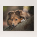 Buscar huesos puzzles Animal