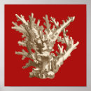 Buscar nature arte Sea