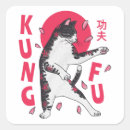 Buscar kung fu pegatinas Taekwondo