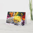 Buscar caballo de mar tarjetas General y unisex