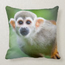 Buscar amazon cojines Animal
