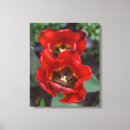 Buscar tulipanes lienzos Flor