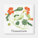 Buscar comestibles imanes Planta