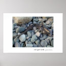 Buscar dientes posters Mar