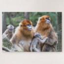 Buscar desnudo puzzles Vida silvestre