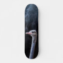 Buscar retrato tablas de skate Adorable