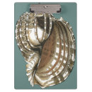 Buscar joya libretas Concha