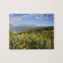 Buscar medicina puzzles Lago