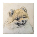 Buscar perro de pomerania azulejos Cachorro