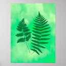 Buscar fondo verde oscuro posters Follaje