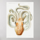 Buscar calamar posters Vintage
