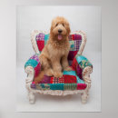 Buscar goldendoodle arte Colorido