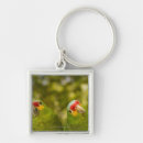 Buscar honduras llaveros Al aire libre