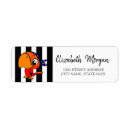 Buscar loro negro postales Elegante