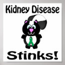 Buscar renal arte Apoyo