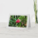Buscar frambuesa tarjetas Para todos