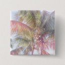 Buscar palmeras chapas Fotografía