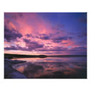 Buscar reflejo posters Brillante