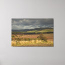 Buscar cielo nublado lienzos Árbol